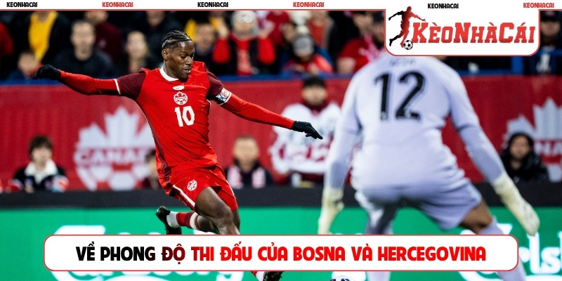 Về phong độ thi đấu của Bosna và Hercegovina