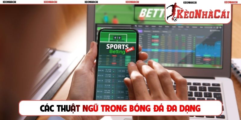 Các thuật ngữ trong bóng đá đa dạng và phong phú