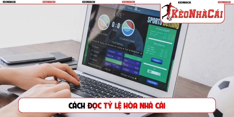 Cách đọc tỷ lệ hòa nhà cái