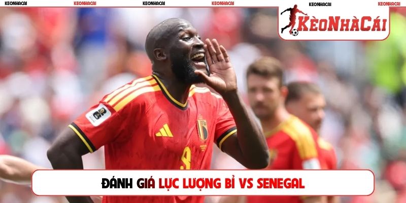 Đánh giá lực lượng Bỉ vs Senegal