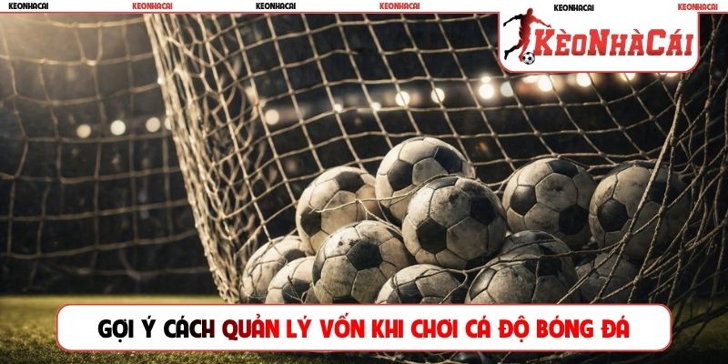 Gợi ý cách quản lý vốn khi chơi cá độ bóng đá