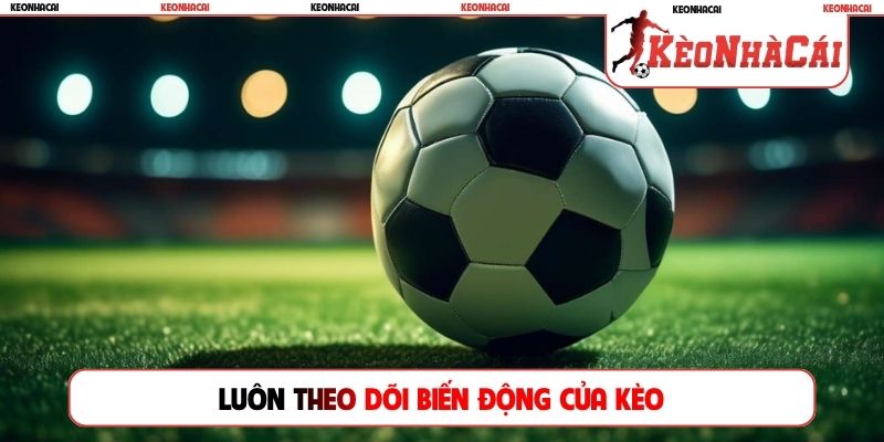 Luôn theo dõi biến động của kèo