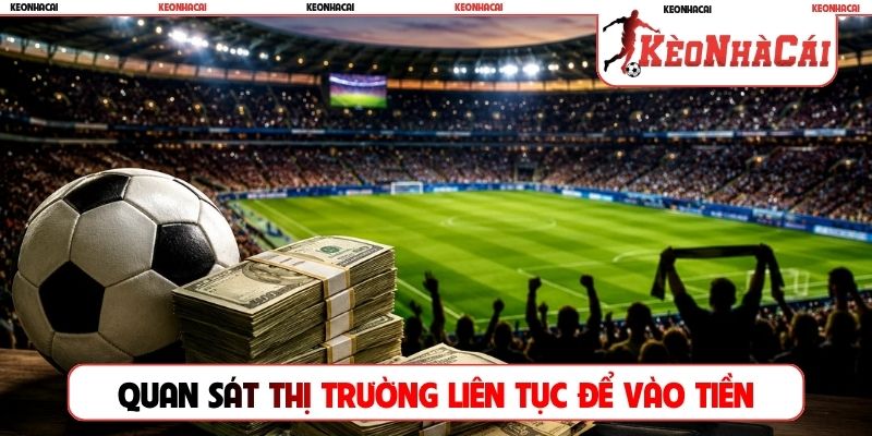 Quan sát thị trường liên tục để vào tiền chuẩn xác