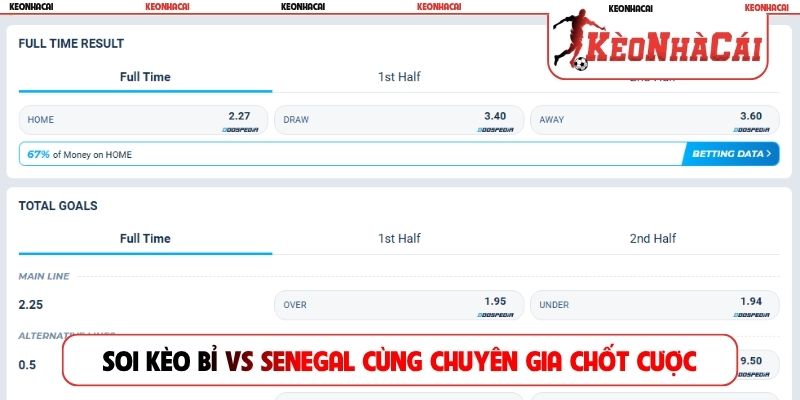 Soi kèo Bỉ vs Senegal cùng chuyên gia chốt cược