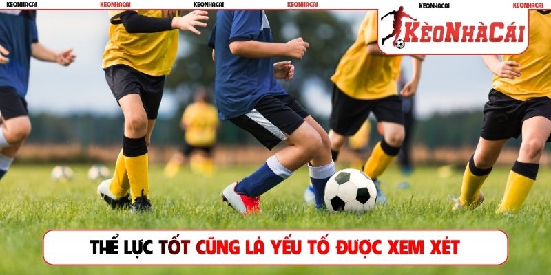 Thể lực tốt cũng là yếu tố được xem xét