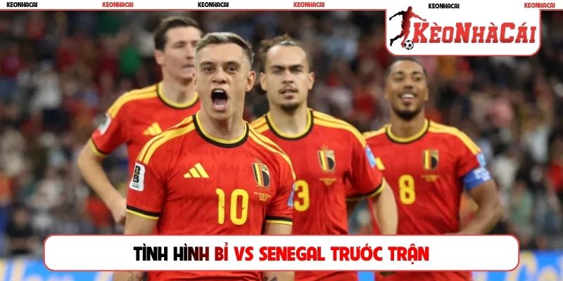 Tình hình Bỉ vs Senegal trước trận