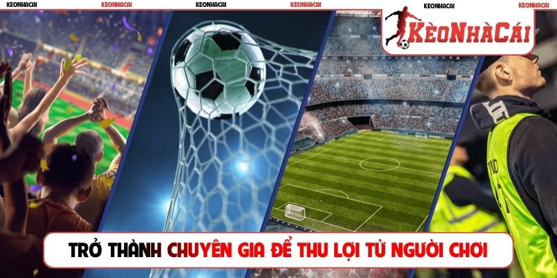 Trở thành chuyên gia để thu lợi từ người chơi khác