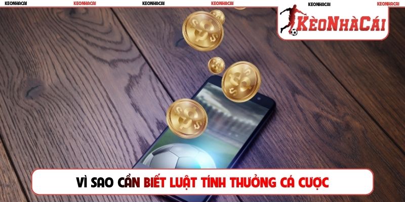 Vì sao cần biết luật tính thưởng cá cược